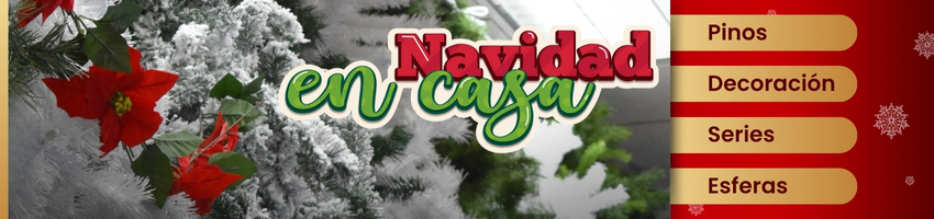 Navidad Casa Ahued